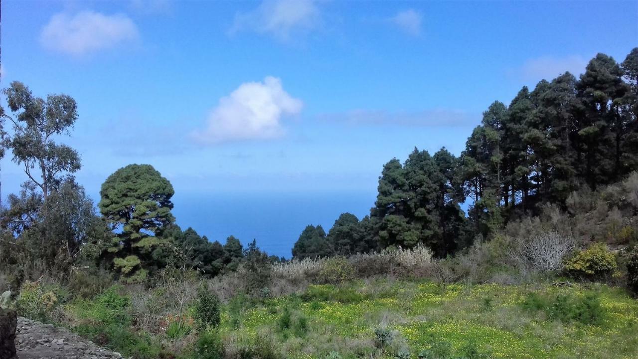 Monte Frio De Tenerife La Guancha Eksteriør billede